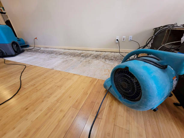 Professional Basement Flood Cleanup technician working in Whitewater, CO